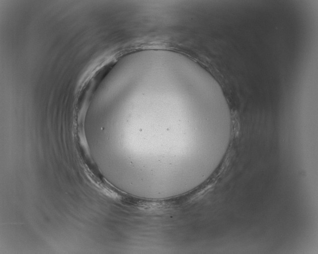 X0000076060293200610201955