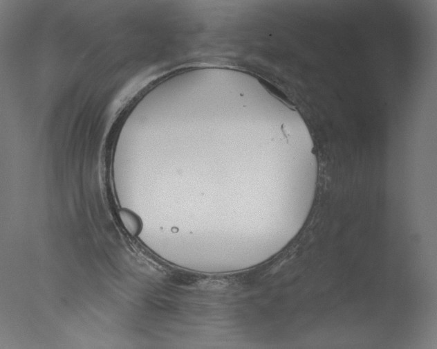 X0000076060294200610201955