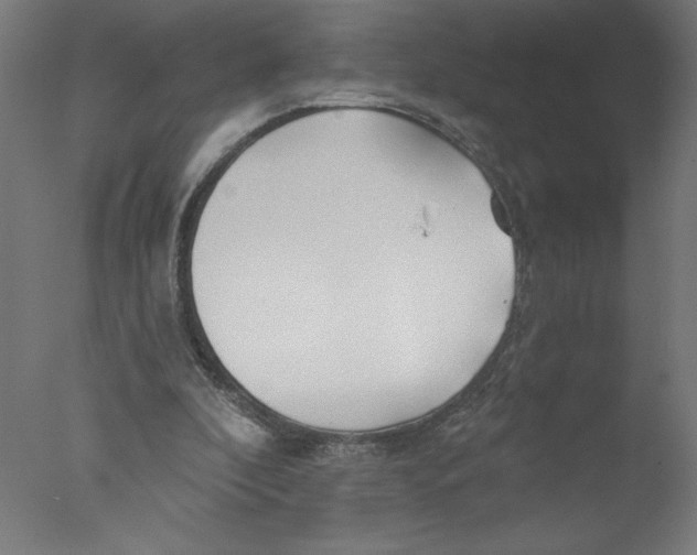 X0000076060296200610201955