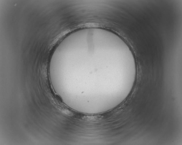 X0000076060297200610201955