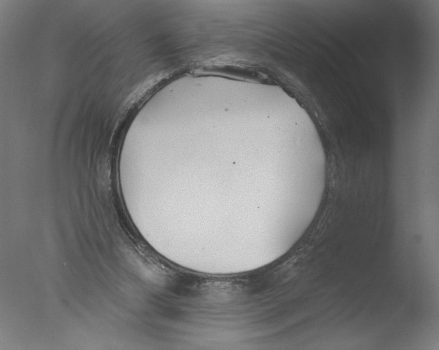 X0000076060298200610201955