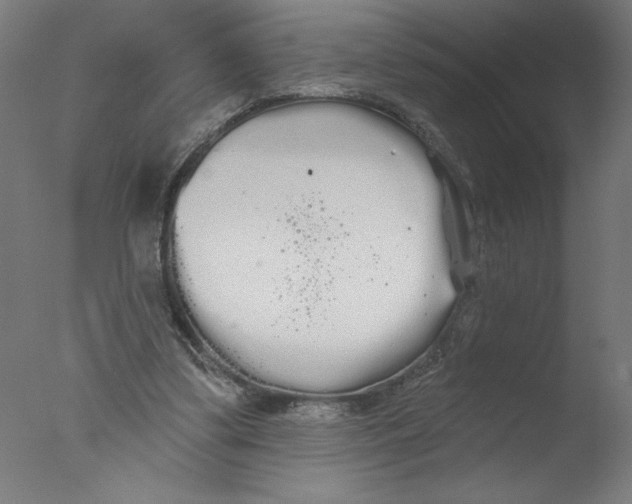 X0000076060299200610201955