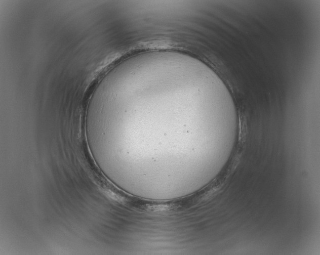 X0000076060301200610201955