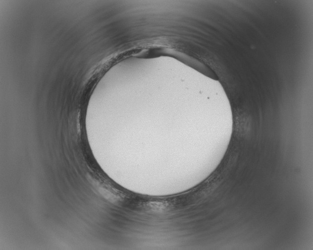 X0000076060302200610201955