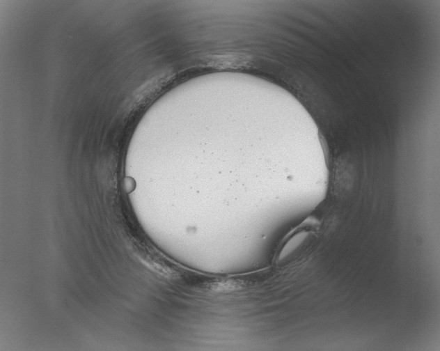 X0000076060303200610201955