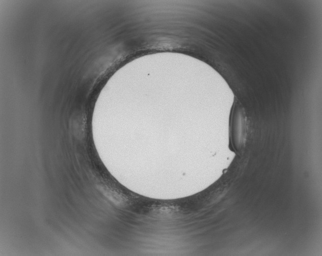 X0000076060304200610201955