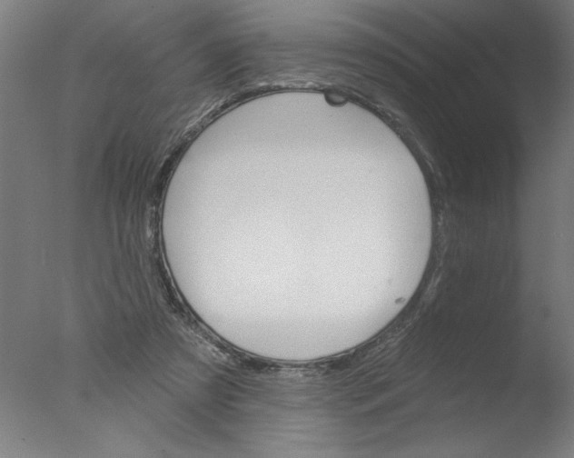 X0000076060305200610201955