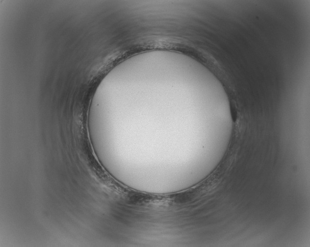 X0000076060306200610201955