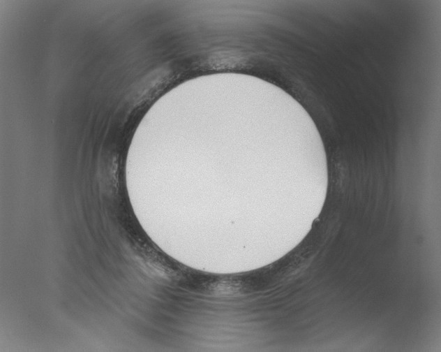 X0000076060308200610201955