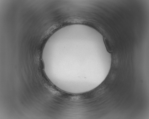 X0000076060309200610201955