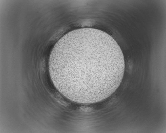 X0000076060311200610201955