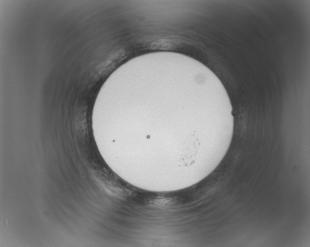 X0000076060312200610201955