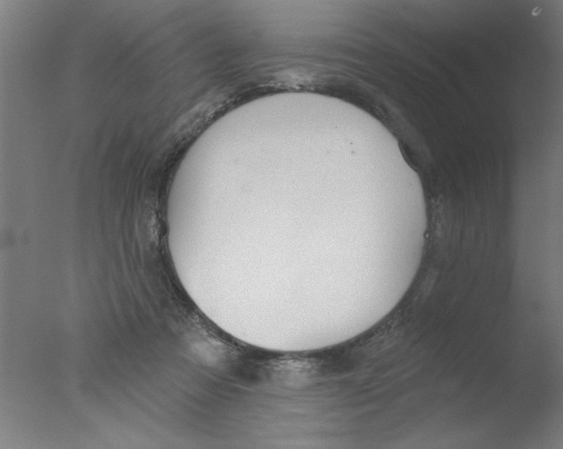 X0000076060313200610201955