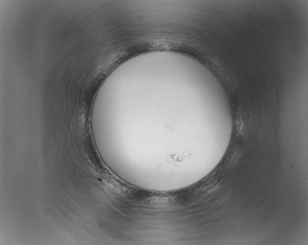 X0000076060314200610201955