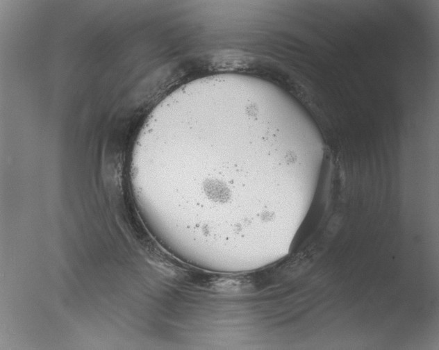 X0000076060315200610201955