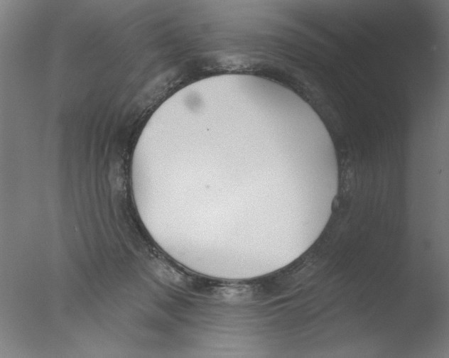 X0000076060317200610201955