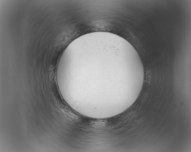 X0000076060318200610201955