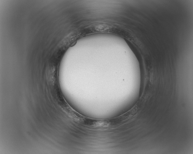 X0000076060319200610201955