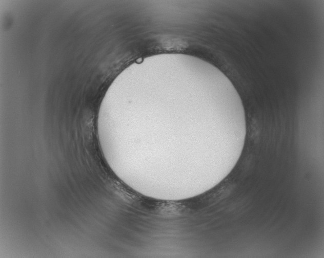 X0000076060321200610201955