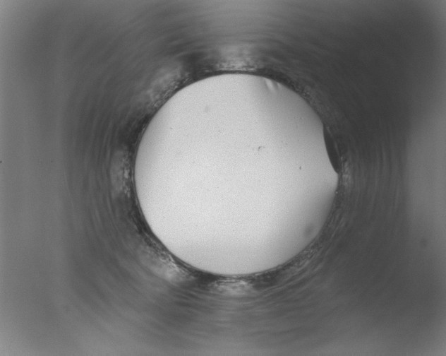 X0000076060322200610201955