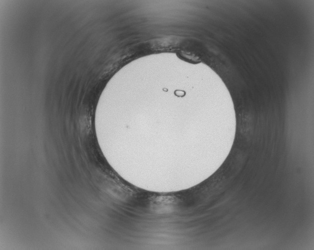 X0000076060324200610201955