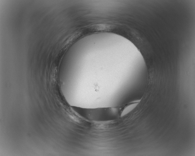 X0000076060325200610201955