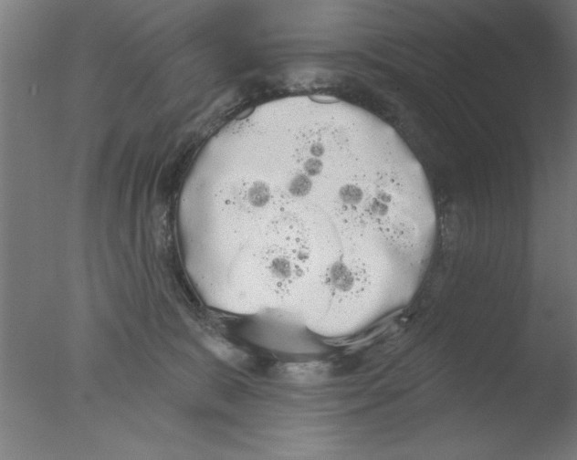 X0000076060327200610201955