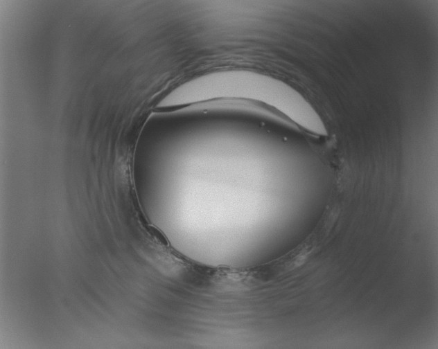 X0000076060329200610201955