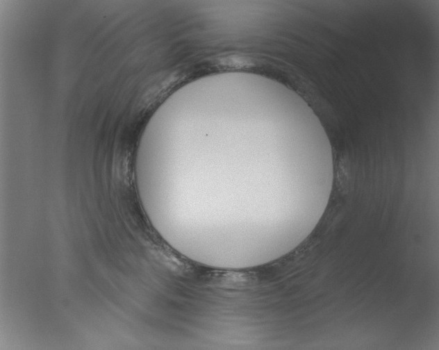 X0000076060330200610201954