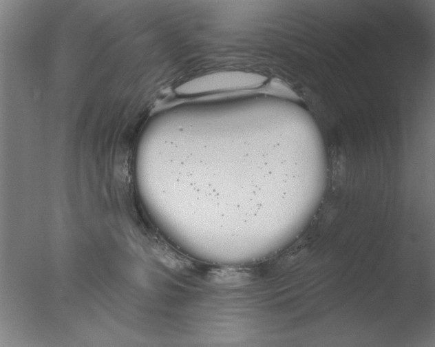 X0000076060331200610201954