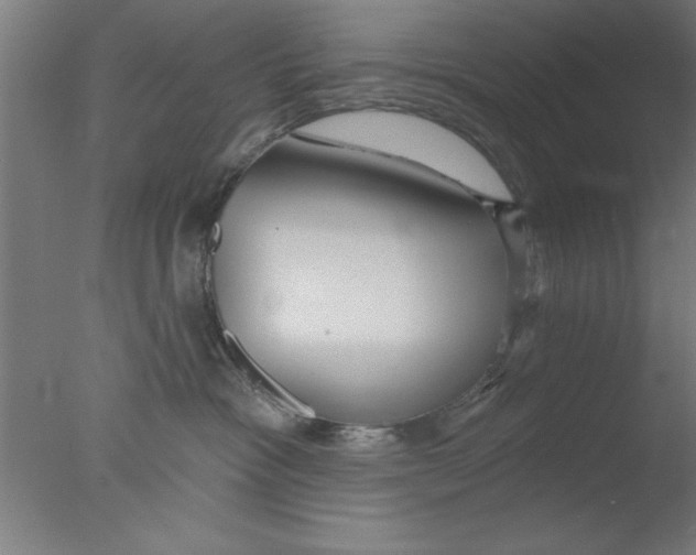 X0000076060333200610201954