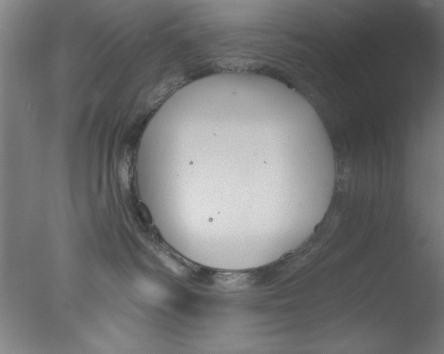 X0000076060334200610201954