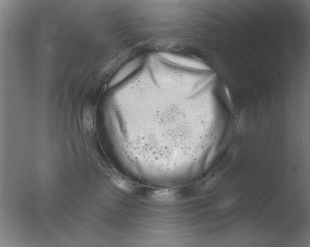 X0000076060335200610201954