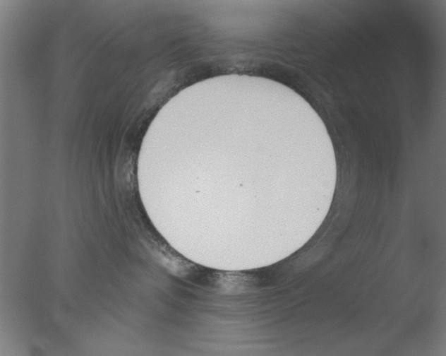 X0000076060336200610201954