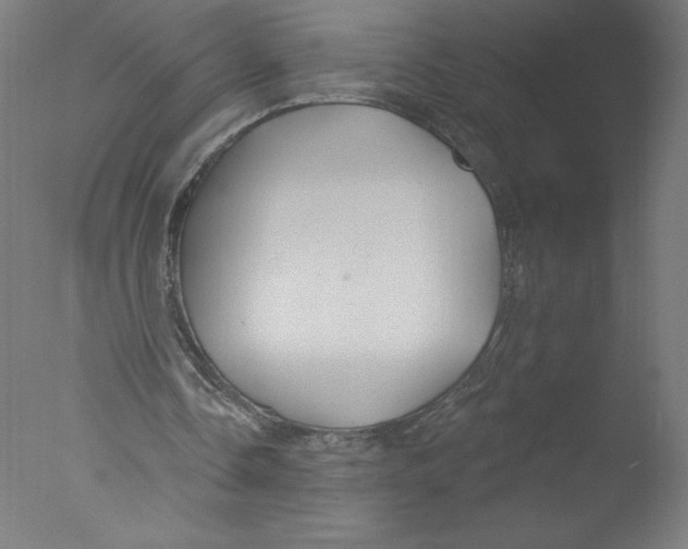 X0000076060338200610201954