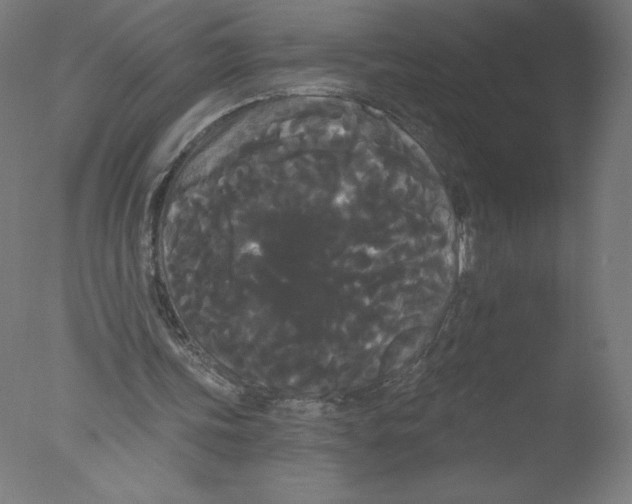 X0000076060339200610201954