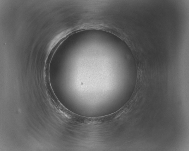 X0000076060340200610201954