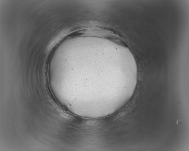 X0000076060341200610201954