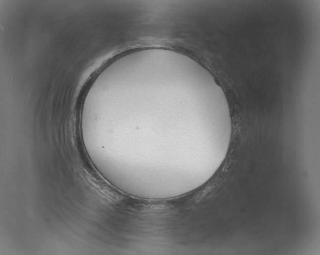 X0000076060342200610201954