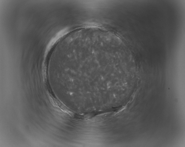 X0000076060343200610201954