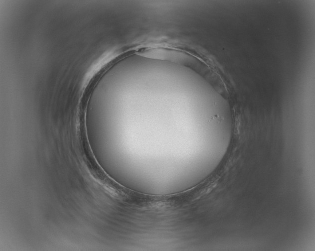 X0000076060344200610201954