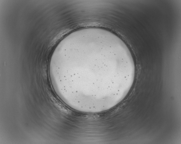 X0000076060345200610201954