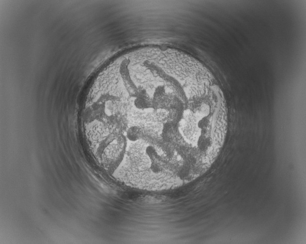 X0000076060346200610201954