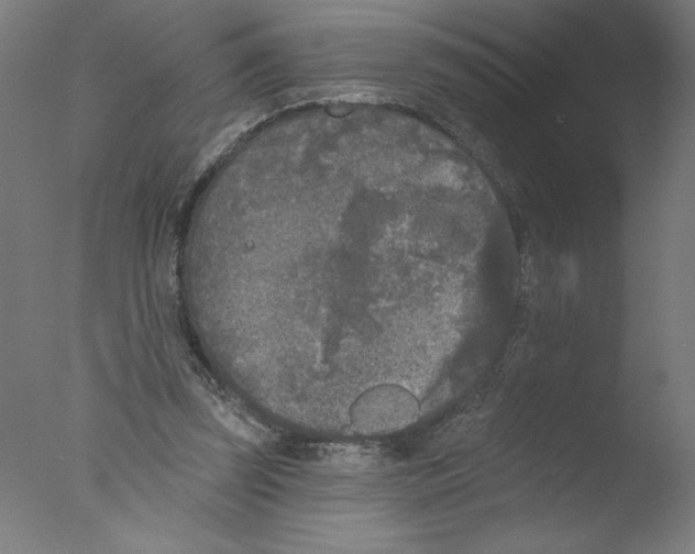 X0000076060347200610201954