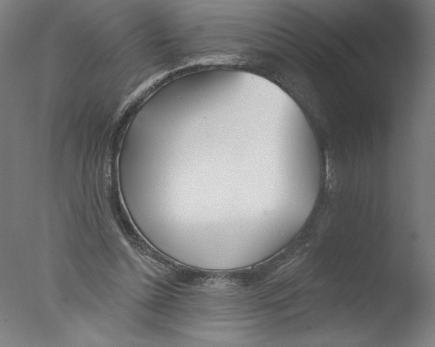 X0000076060348200610201954