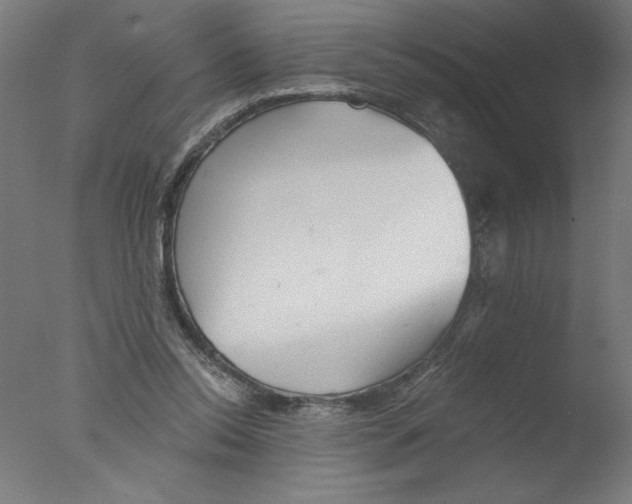 X0000076060350200610201954