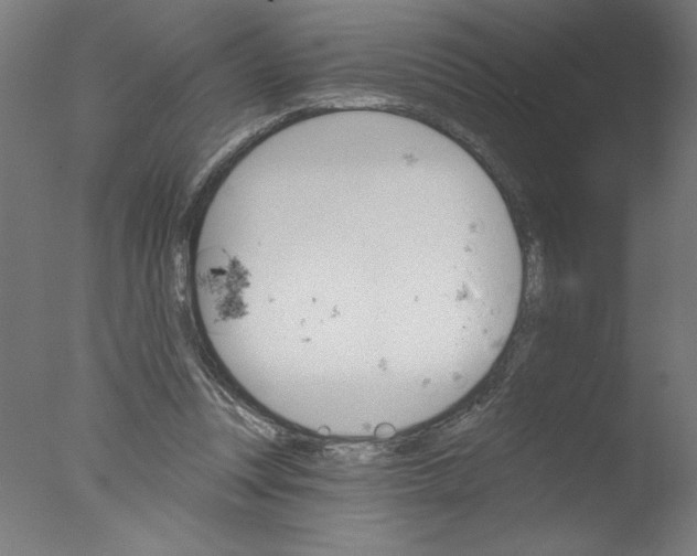 X0000076060351200610201954