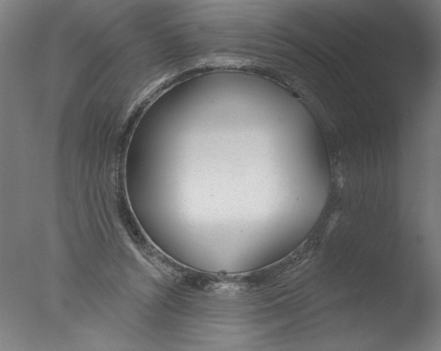 X0000076060352200610201954