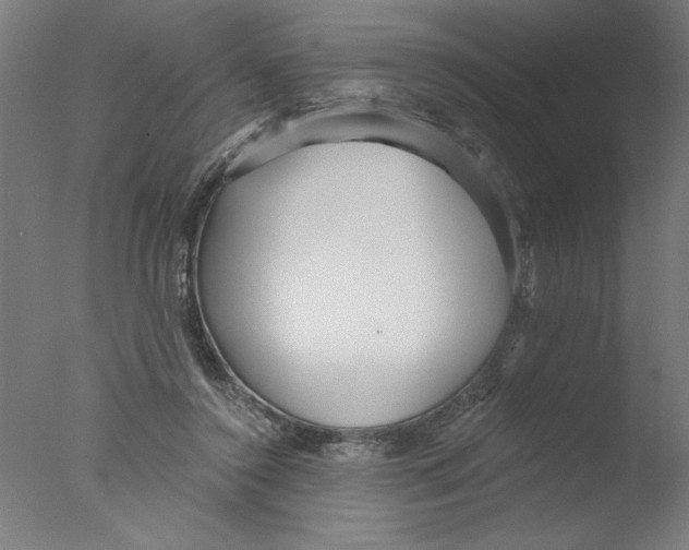 X0000076060356200610201954