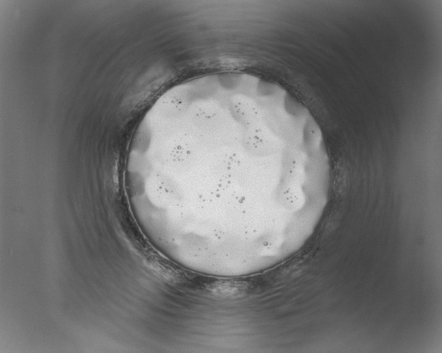 X0000076060358200610201954